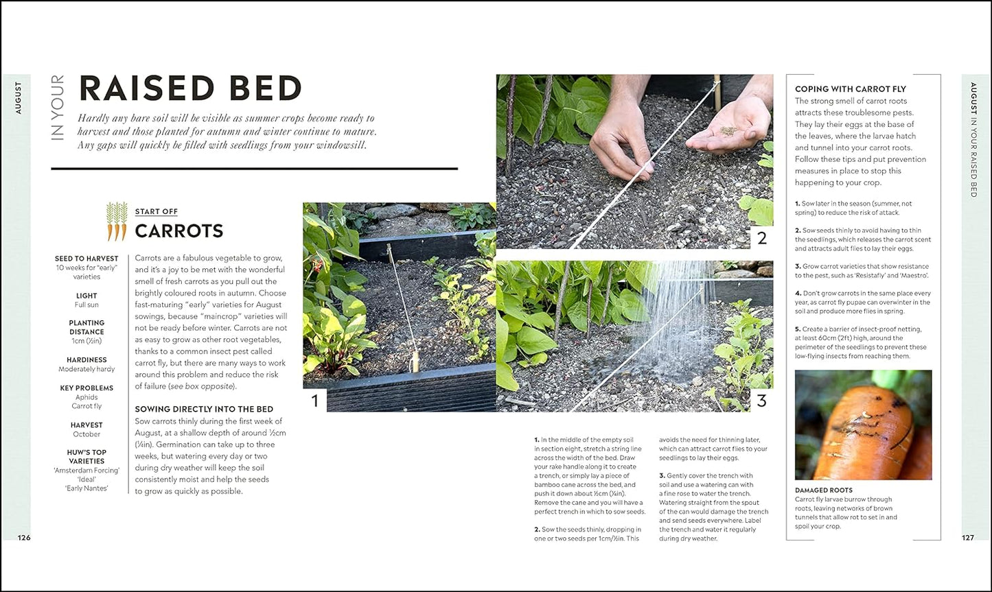 Veg in One Bed: How to Grow an Abundance of Food in One Raised Bed, Month by Month