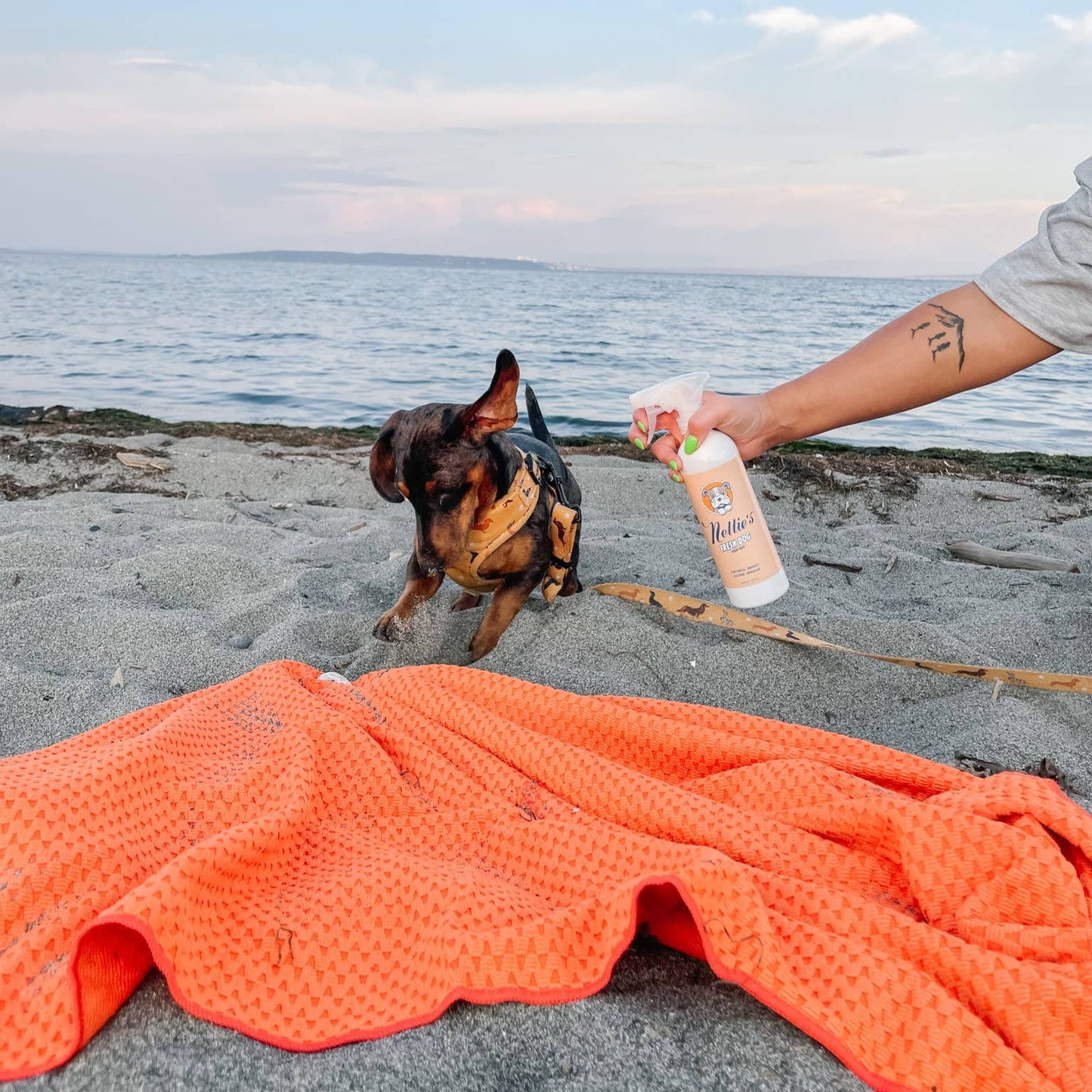 Fresh Dog - Waterless Dog Shampoo - Nellie's Clean