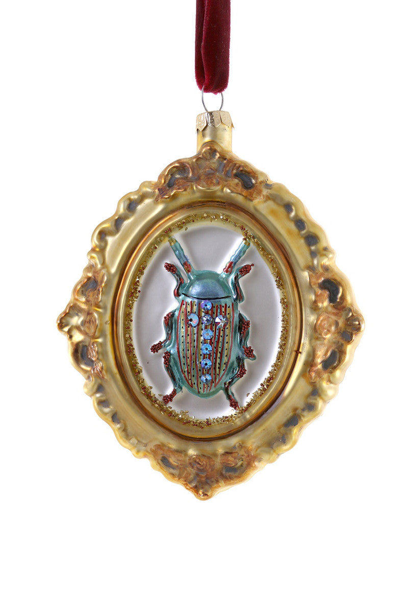 Framed Beetle Curio Ornament