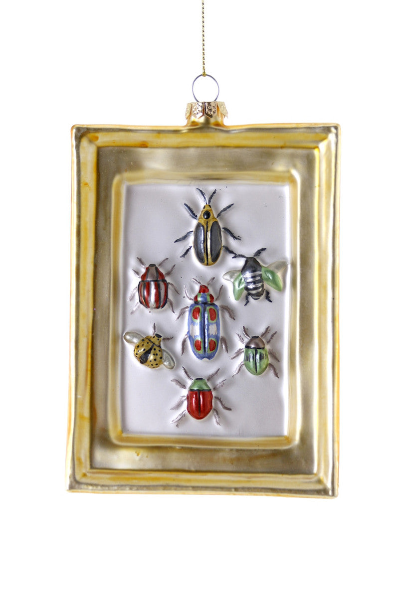 Framed Beetle Curio Glass Ornament