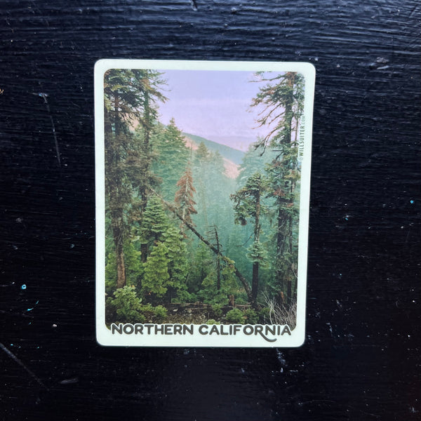 Siskiyou Conifers - Northern California 3x4 Inch Sticker