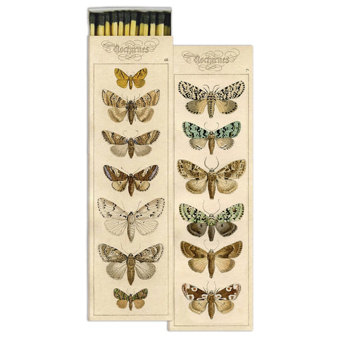 Extra Long Matches - Moths