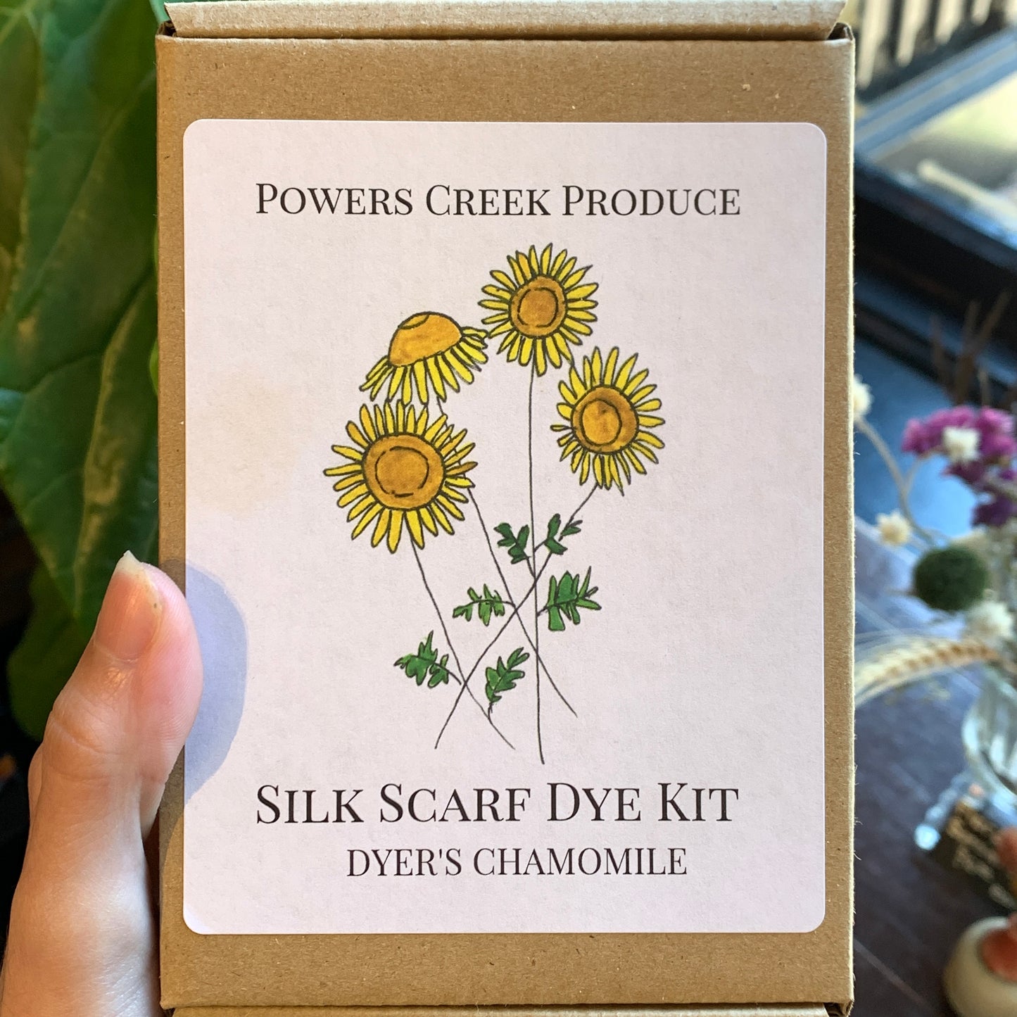 Natural Dye Kits - Silk Scarf