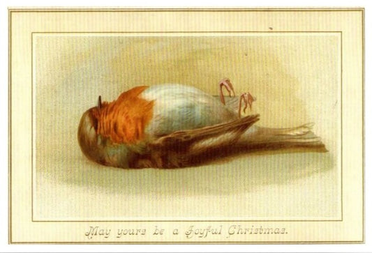 "Sleeping" Bird Holiday Post Card