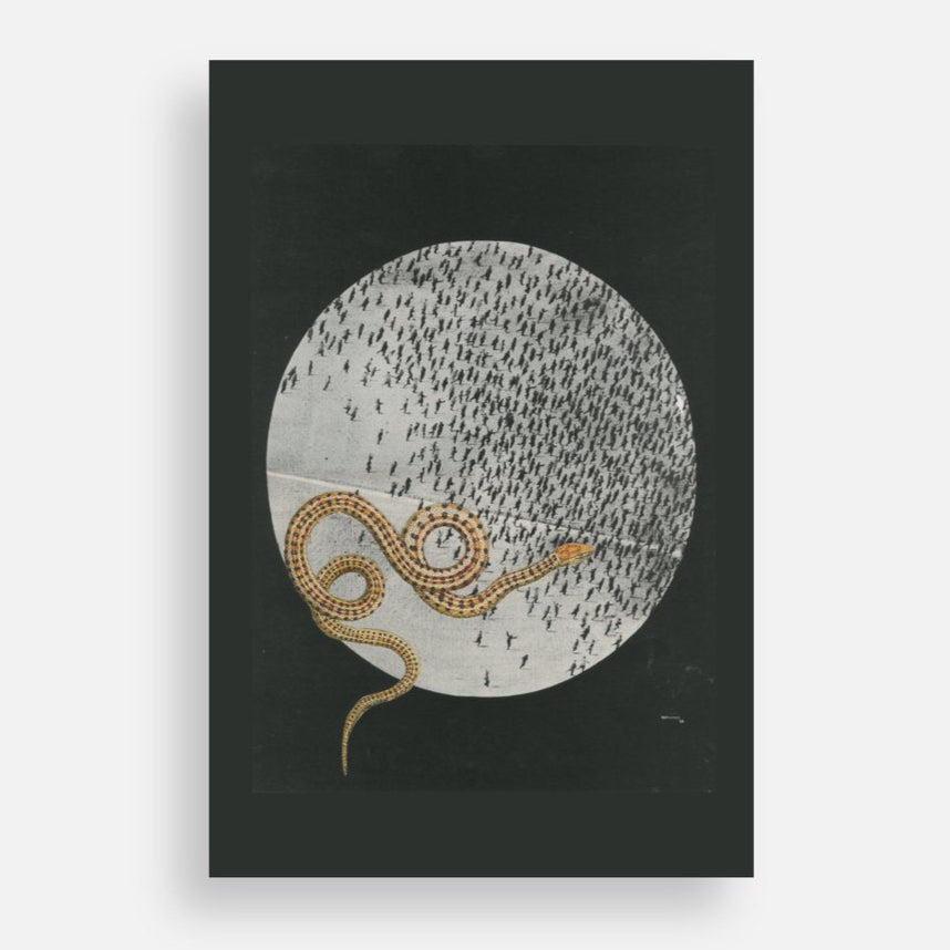 "Moonless Flight" Mini Art Print or Postcard - Original Tamara Cervenka Art