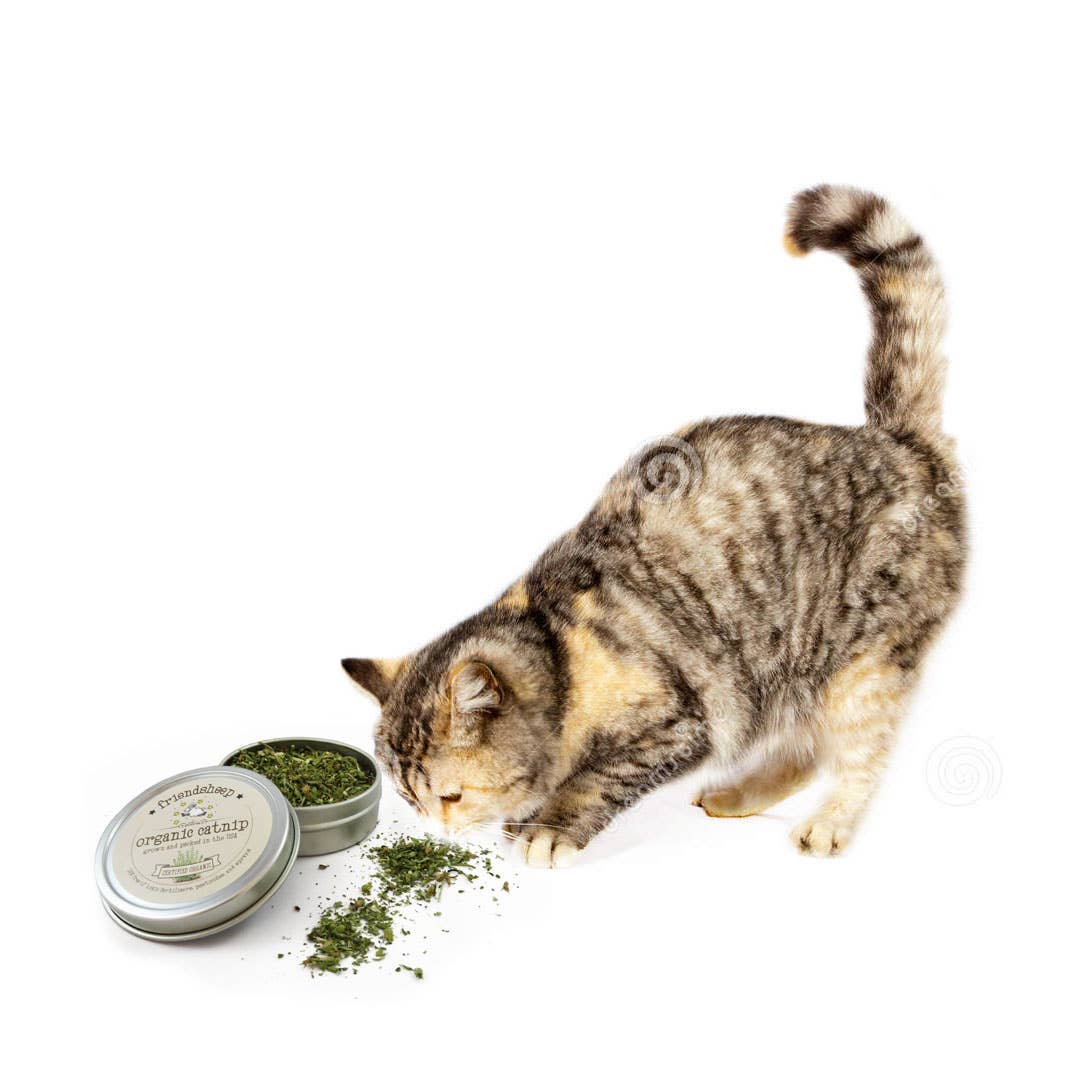 Organic Catnip Tin - Regular - Friendsheep