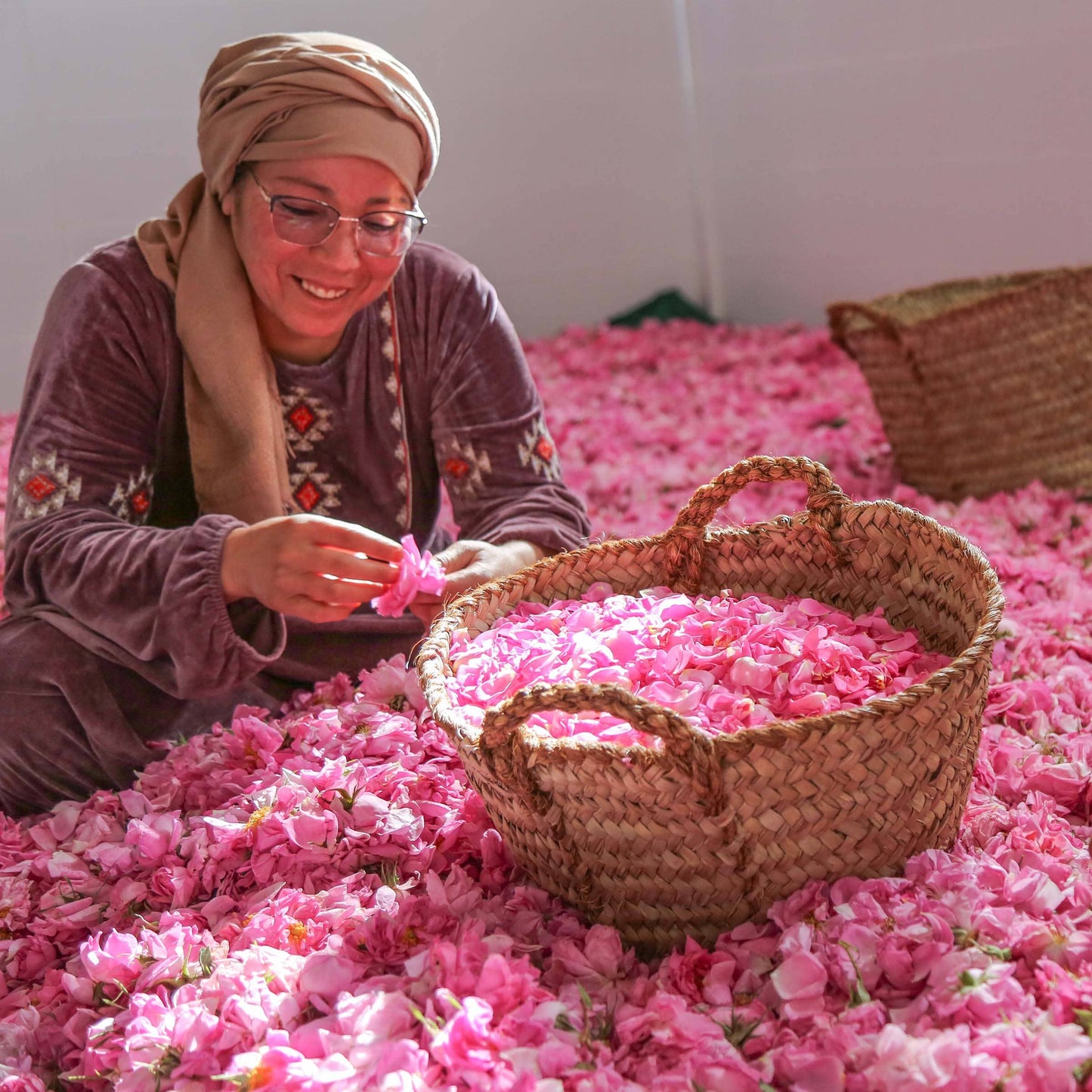 Moroccan Rose Sugar - Curio Spice Co