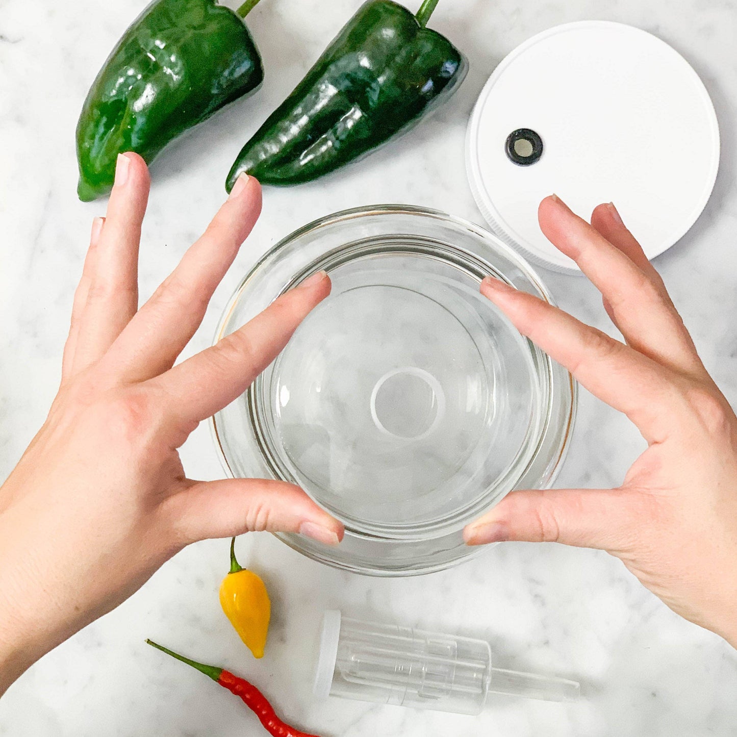 Hot Sauce Making Kit