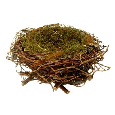 Wrens Nest - Large