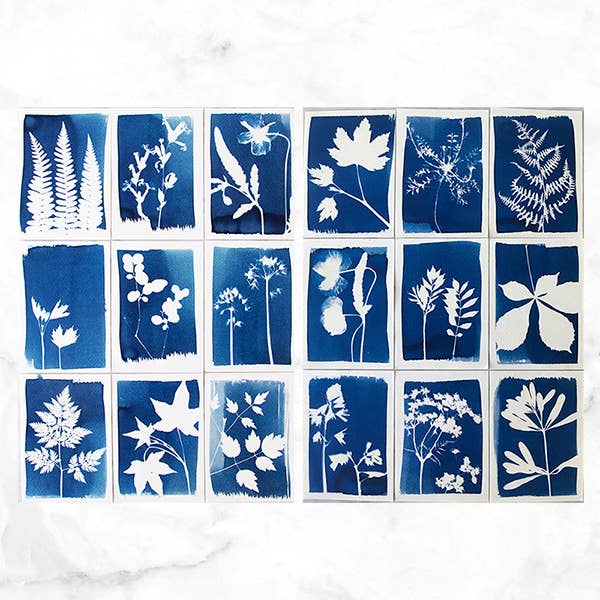 Cyanotype Kit – DIY