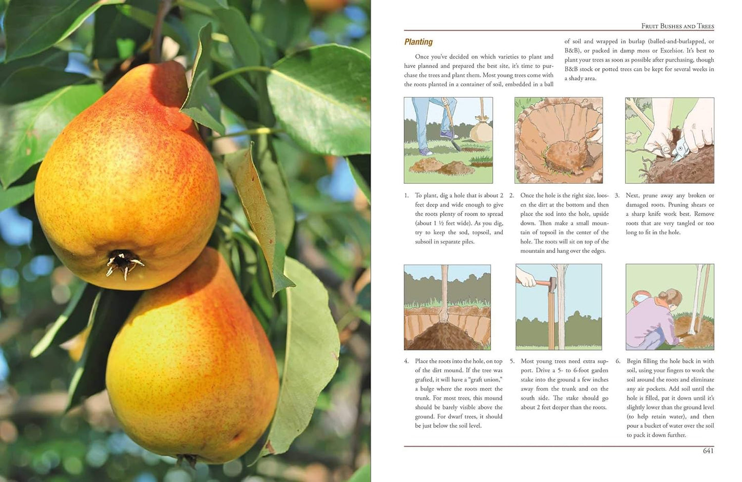 The Illustrated Encyclopedia of Country Living by Abigail R. Gehring