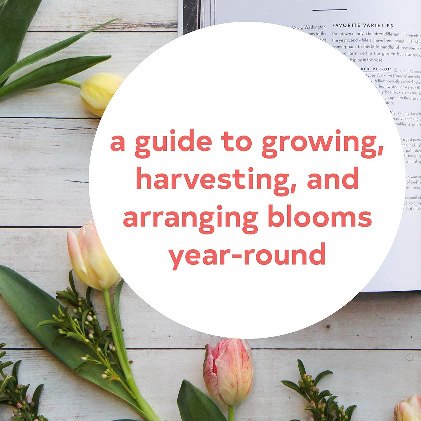 Floret Farm's Cut Flower Garden: Grow, Harvest, and Arrange Stunning Seasonal Blooms - Erin Benzakein