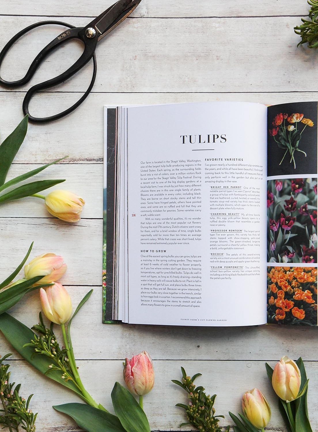 Floret Farm's Cut Flower Garden: Grow, Harvest, and Arrange Stunning Seasonal Blooms - Erin Benzakein