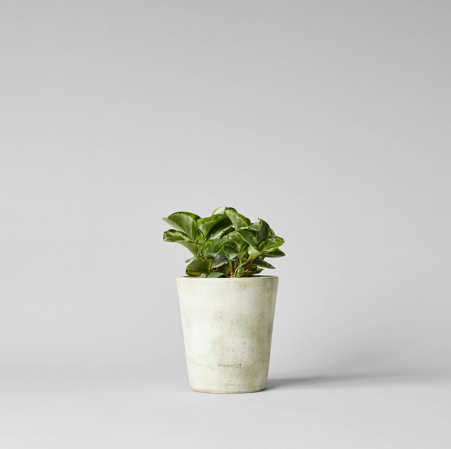 Basic Planter - White Patina