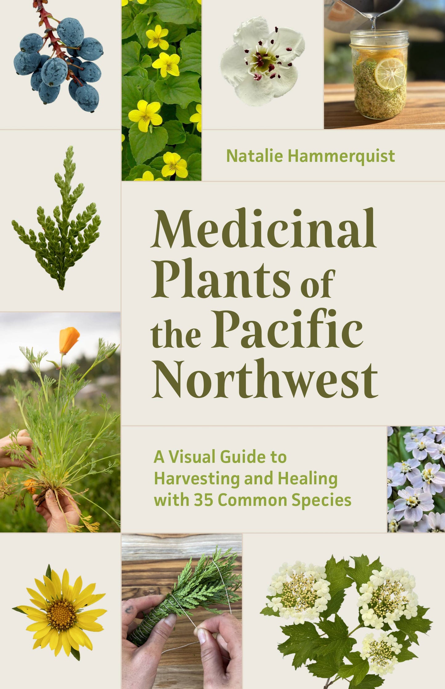 Medicinal Plants of the Pacific Northwest