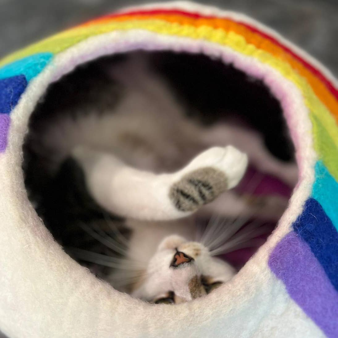 Rainbow Eco Kitty Cave - Friendsheep