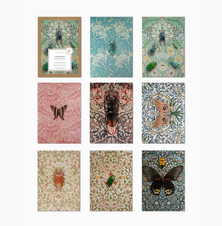 Insect Art Blank Greeting Card or Full set of 8