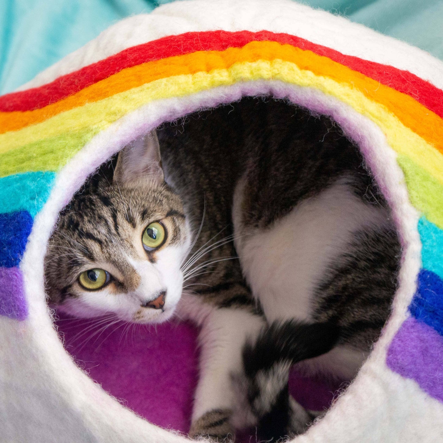 Rainbow Eco Kitty Cave - Friendsheep