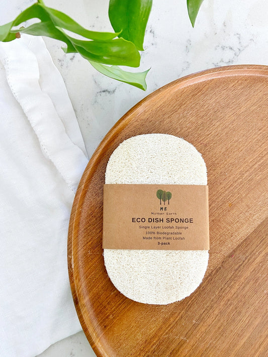 Eco Dish Sponge