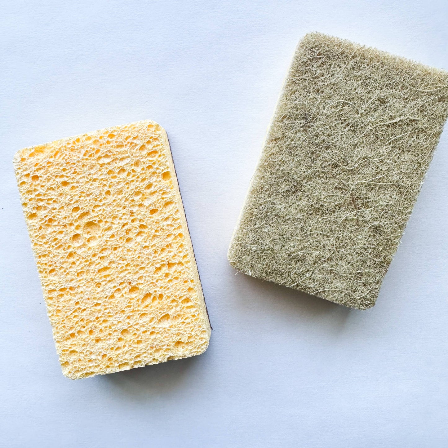 Sisal & Cellulose Sponge