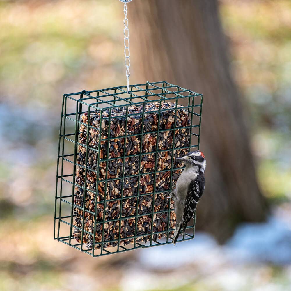 NeatFeeder: Small Bird Feeder Cage