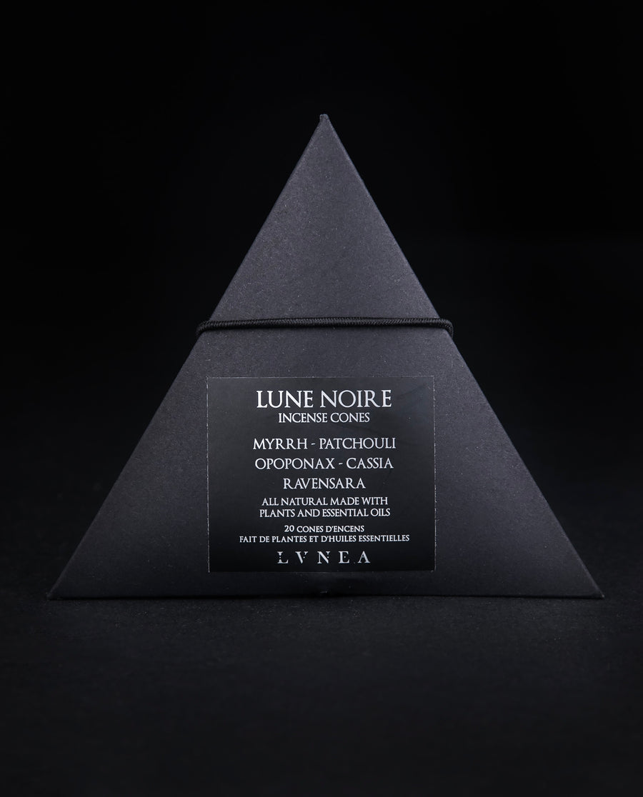 SOLSTICE D'HIVER | Naturally-scented Incense Cones - Lvnea Perfume