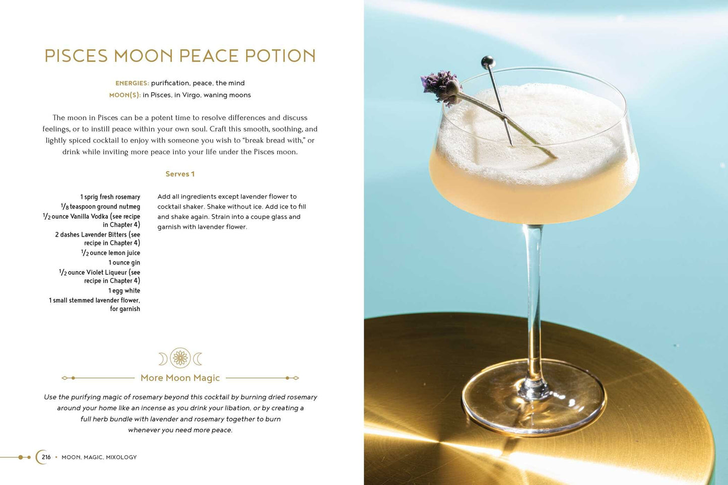 Moon Magic Mixology - From Lunar Love Spell Sangria to the Solar Eclipse Sour, 70 Celestial Drinks Infused with Cosmic Power