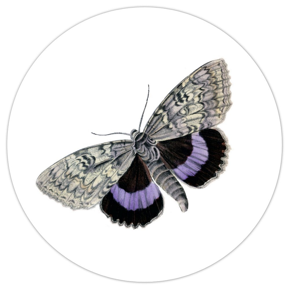 Moth Magnet - Round