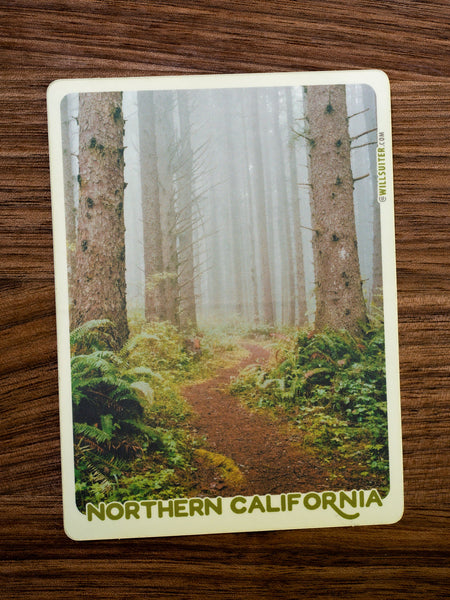 Coastal Spruce Forest - Northern California 3x4 Inch Sticker