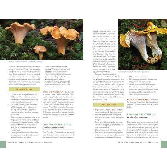 Fruits of the Forest: A Field Guide to PNW Edible Mushrooms