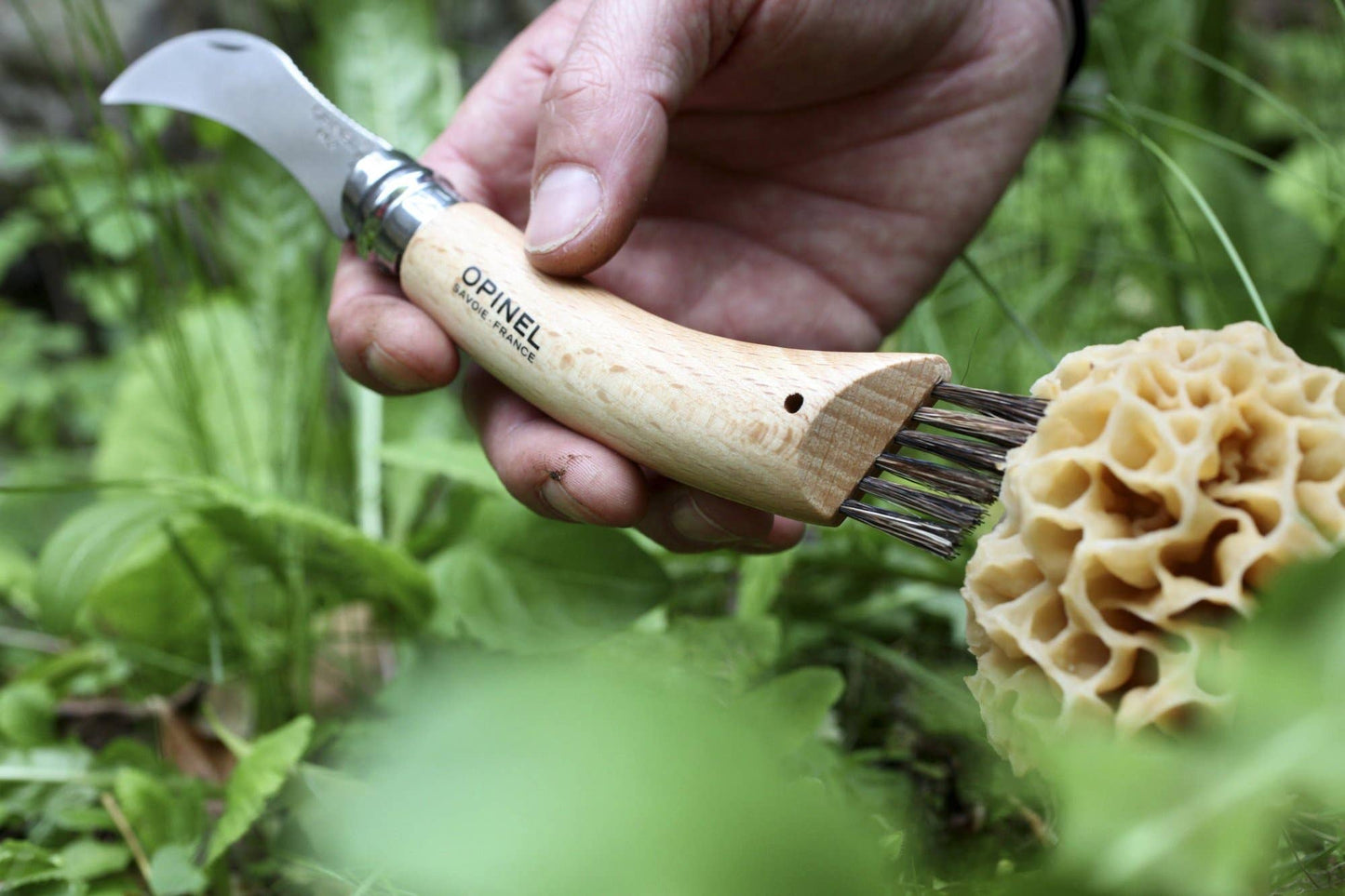 N°8 Mushroom Foraging Knife - Opinel