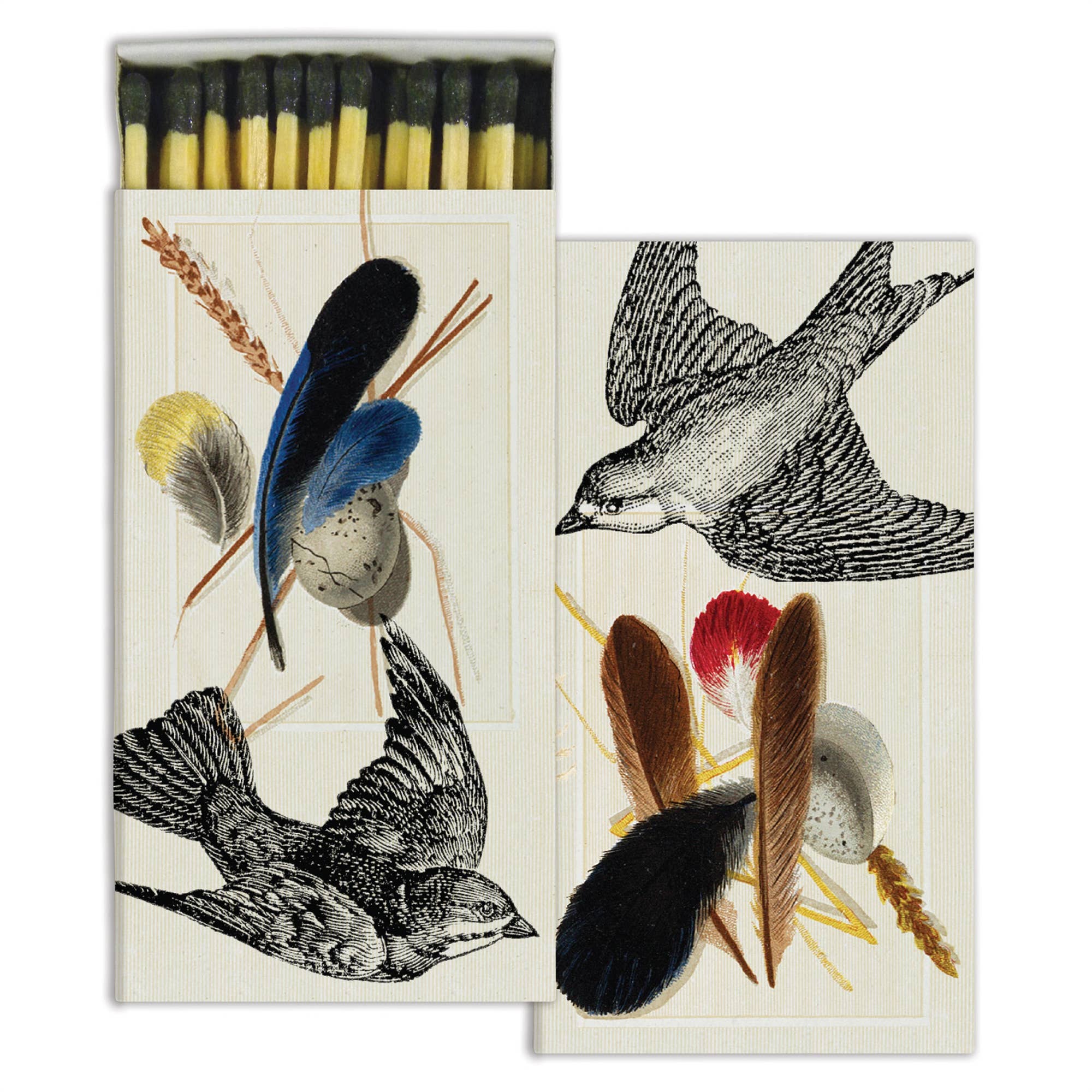 Long Matches - Sparrows & Specimens
