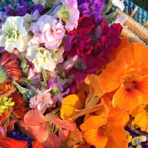 Edible Flower Mix