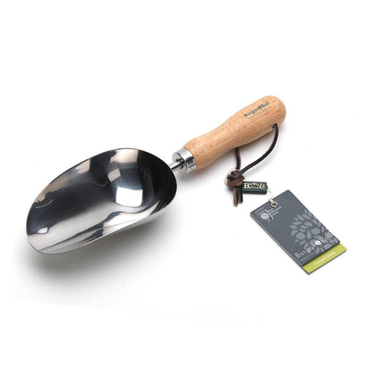 Stainless Steel Scoop