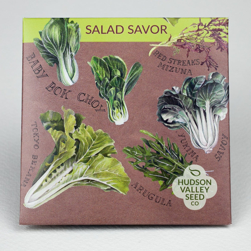 Salad Savor Mix