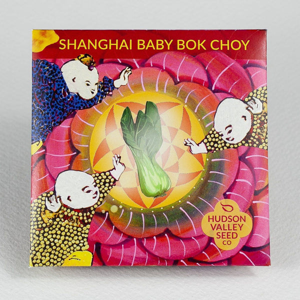 Shanghai Bok Choy