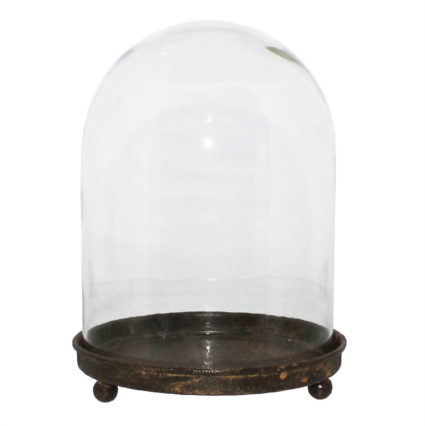 Glass Cloche Display with Metal Base
