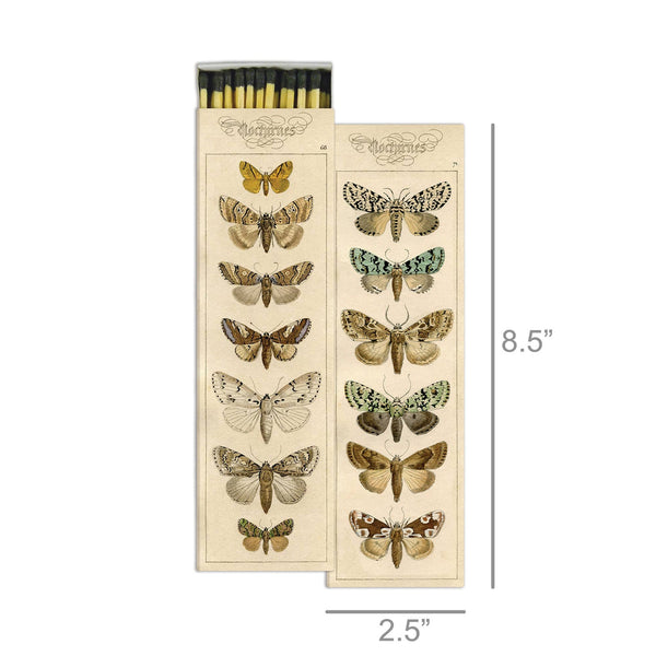 Extra Long Matches - Moths