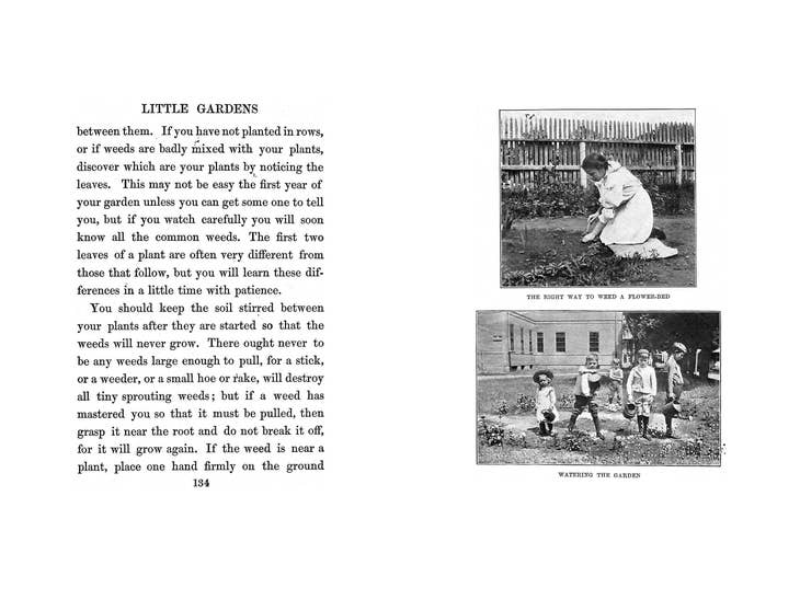 Little Gardens for Boys and Girls