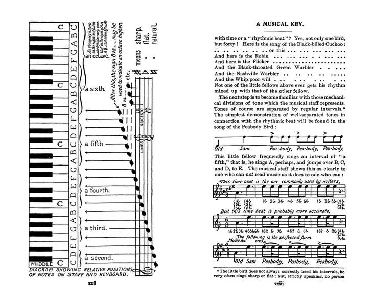 Field Book of Wild Birds and Their Music