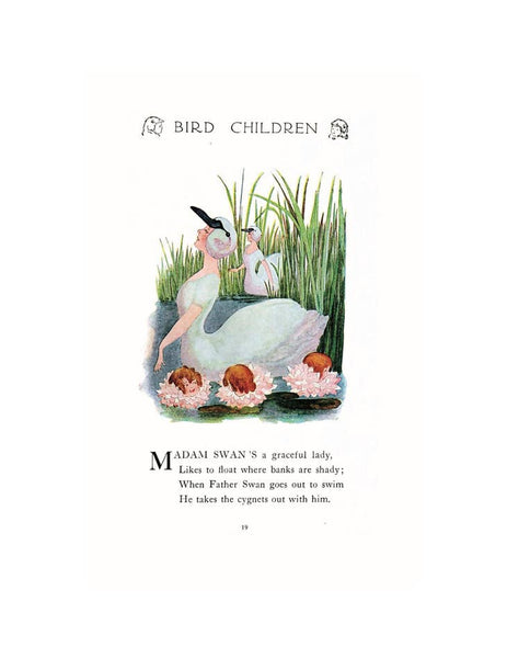 Bird Children: The Little Playmates of the Flower Children
