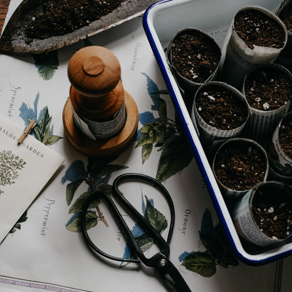 Paper Seed Pot Press