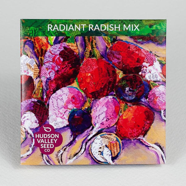 Radiant Radish Mix - Rosebud Home Goods